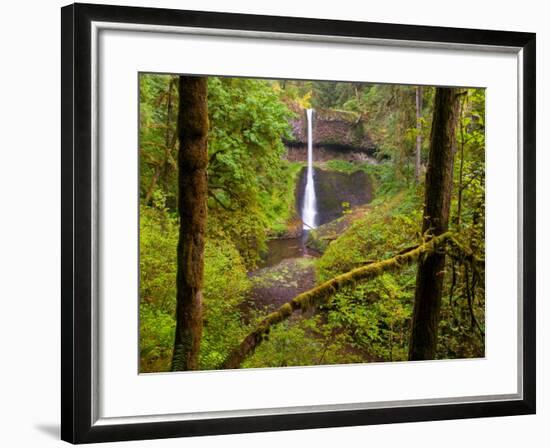 Silver Falls State Park, Salem, Oregon-Darrell Gulin-Framed Photographic Print