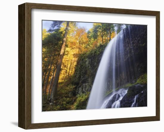 Silver Falls-Everlook Photography-Framed Photographic Print