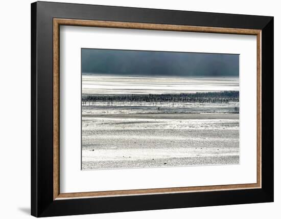 Silver Fish-Viviane Fedieu Daniel-Framed Photographic Print