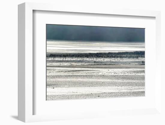 Silver Fish-Viviane Fedieu Daniel-Framed Photographic Print