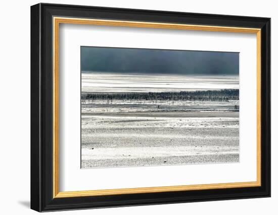 Silver Fish-Viviane Fedieu Daniel-Framed Photographic Print