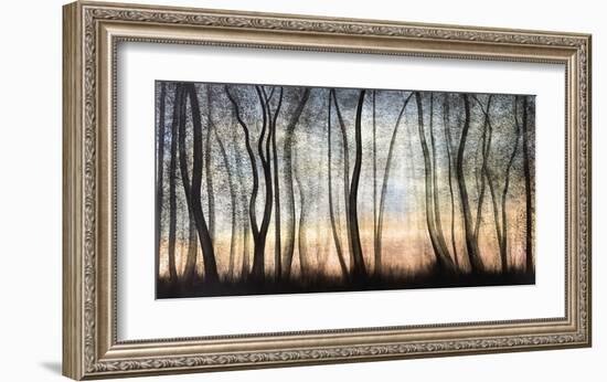 Silver Forest-Graham Reynolds-Framed Giclee Print