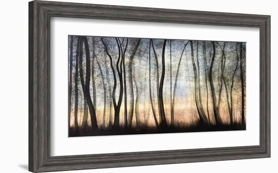 Silver Forest-Graham Reynolds-Framed Giclee Print