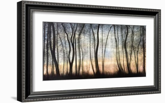 Silver Forest-Graham Reynolds-Framed Giclee Print