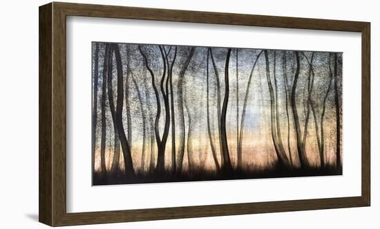 Silver Forest-Graham Reynolds-Framed Giclee Print