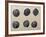 Silver Gallic Coins, Gallic Coins-null-Framed Giclee Print