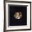Silver Gilt Ring. Etruscan Civilization.-null-Framed Giclee Print