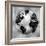 Silver Globe-Russell Brennan-Framed Art Print