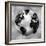 Silver Globe-Russell Brennan-Framed Art Print