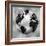 Silver Globe-Russell Brennan-Framed Art Print