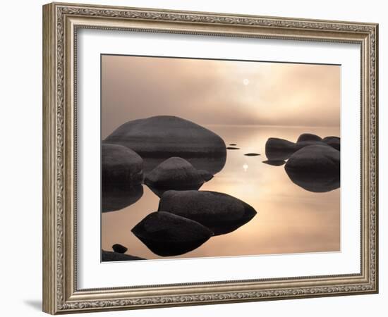 Silver & Gold-Elizabeth Carmel-Framed Photographic Print