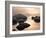 Silver & Gold-Elizabeth Carmel-Framed Photographic Print