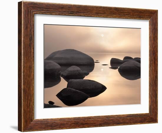 Silver & Gold-Elizabeth Carmel-Framed Photographic Print