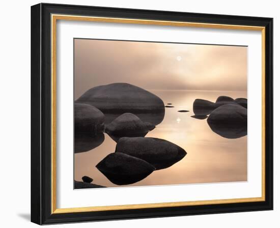 Silver & Gold-Elizabeth Carmel-Framed Photographic Print