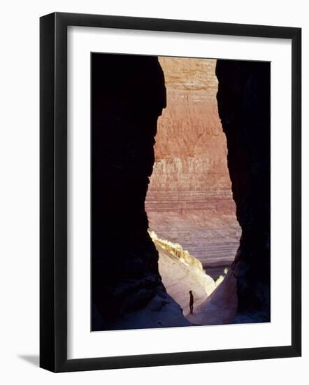 Silver Gorge, Grand Canyon, USA-John Warburton-lee-Framed Photographic Print