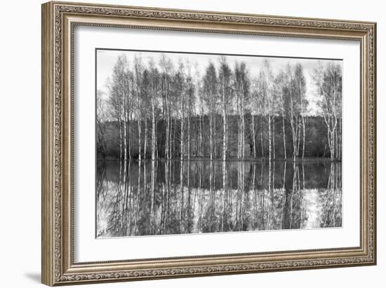 Silver Grove-Joseph Eta-Framed Giclee Print