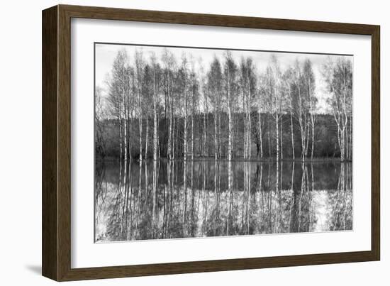 Silver Grove-Joseph Eta-Framed Giclee Print