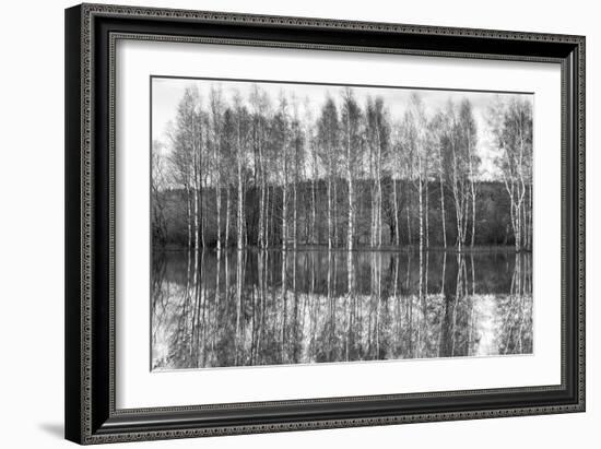 Silver Grove-Joseph Eta-Framed Giclee Print