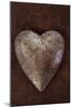 Silver Heart-Den Reader-Mounted Photographic Print