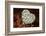 Silver heart-Heidi Westum-Framed Photographic Print