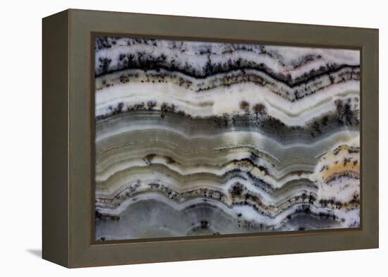 Silver Lace Onyx-Darrell Gulin-Framed Premier Image Canvas