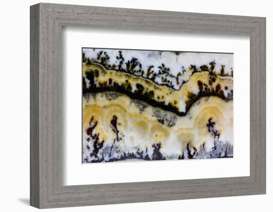 Silver Lace Onyx-Darrell Gulin-Framed Photographic Print