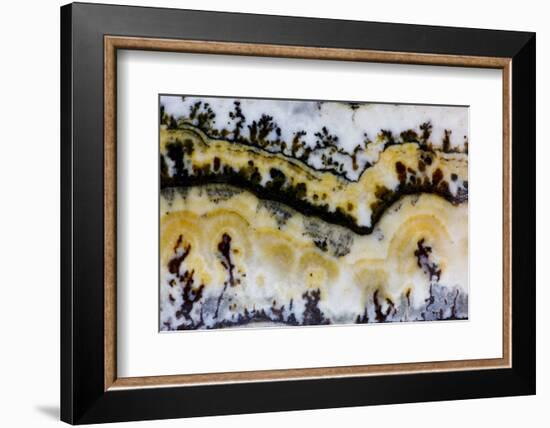 Silver Lace Onyx-Darrell Gulin-Framed Photographic Print