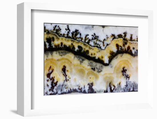 Silver Lace Onyx-Darrell Gulin-Framed Photographic Print