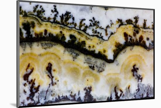 Silver Lace Onyx-Darrell Gulin-Mounted Photographic Print