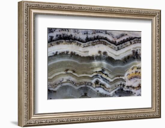 Silver Lace Onyx-Darrell Gulin-Framed Photographic Print