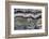 Silver Lace Onyx-Darrell Gulin-Framed Photographic Print