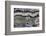 Silver Lace Onyx-Darrell Gulin-Framed Photographic Print