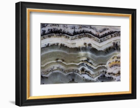 Silver Lace Onyx-Darrell Gulin-Framed Photographic Print