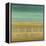 Silver-Leafed Horizon-Randy Hibberd-Framed Stretched Canvas