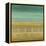 Silver-Leafed Horizon-Randy Hibberd-Framed Stretched Canvas