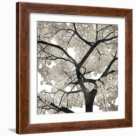 Silver Leaves-Kate Bennett-Framed Art Print