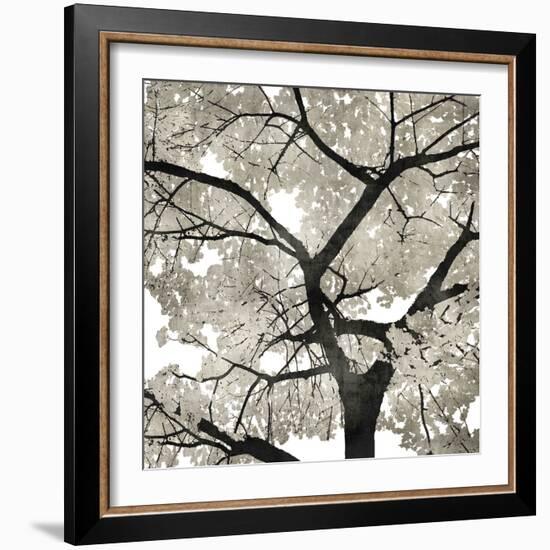 Silver Leaves-Kate Bennett-Framed Art Print