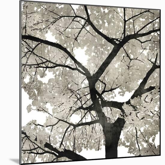 Silver Leaves-Kate Bennett-Mounted Art Print