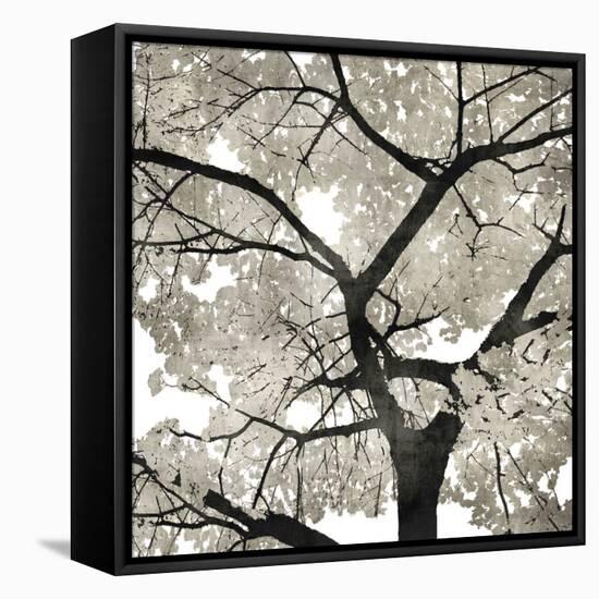 Silver Leaves-Kate Bennett-Framed Stretched Canvas