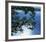 Silver Light, 2006-Alice Dalton Brown-Framed Art Print