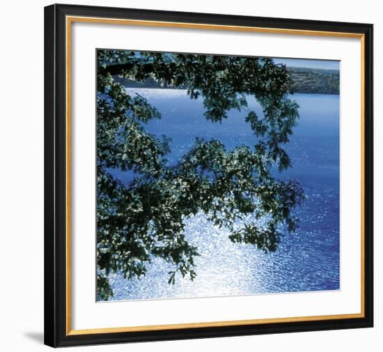 Silver Light, 2006-Alice Dalton Brown-Framed Art Print