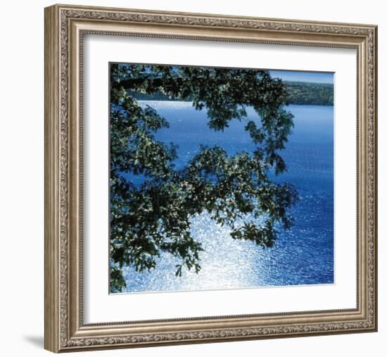 Silver Light, 2006-Alice Dalton Brown-Framed Art Print