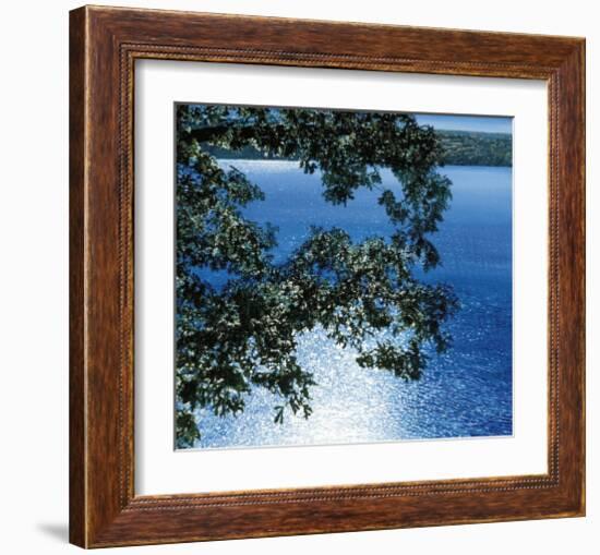 Silver Light, 2006-Alice Dalton Brown-Framed Art Print