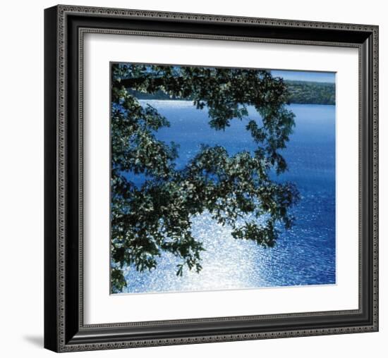 Silver Light, 2006-Alice Dalton Brown-Framed Art Print