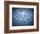 Silver Liquid-Kulka-Framed Photographic Print