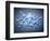 Silver Liquid-Kulka-Framed Photographic Print