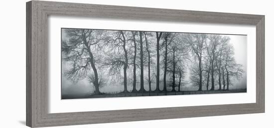 Silver Mists III-Bill Philip-Framed Giclee Print