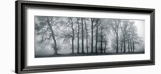 Silver Mists III-Bill Philip-Framed Giclee Print