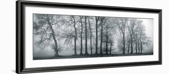 Silver Mists III-Bill Philip-Framed Giclee Print