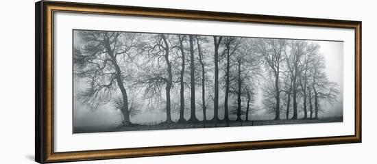 Silver Mists III-Bill Philip-Framed Giclee Print